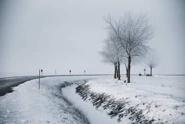 snowy landscape of a winter road curving through trees