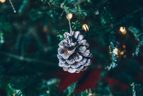 snowy pinecone ornament on tree