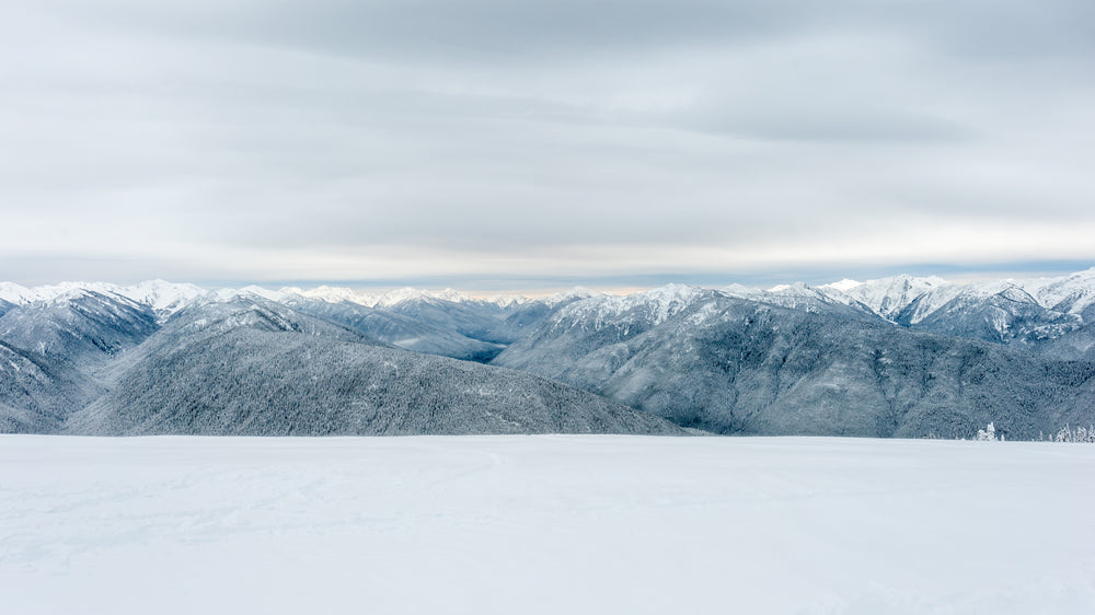 snowy plains and mountains