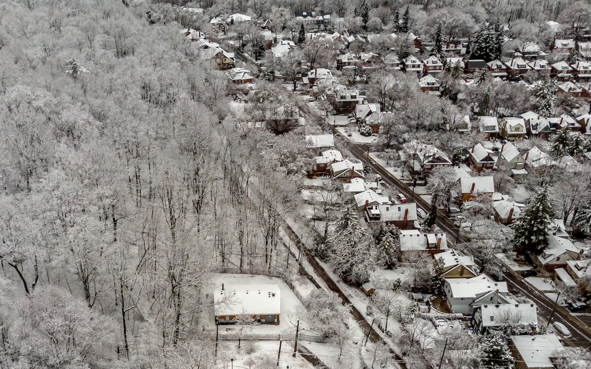 snowy rooftops amidst frosty trees