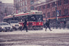 snowy toronto street