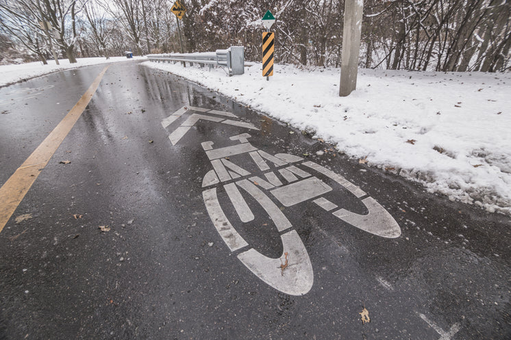 雪冬自行車車道
