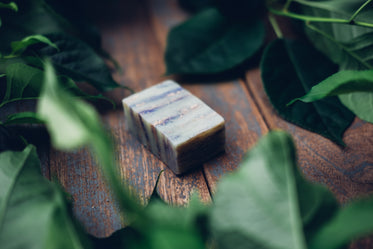 soap bar in leaves