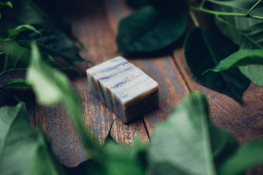 soap bar in leaves