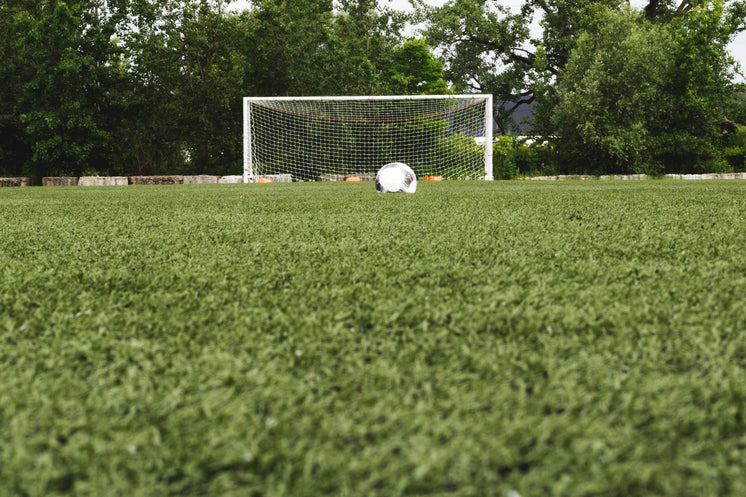 soccer-ball-in-field-with-net.jpg?width=