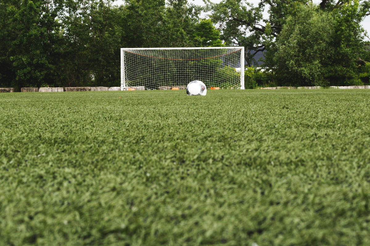 soccer ball in field with net