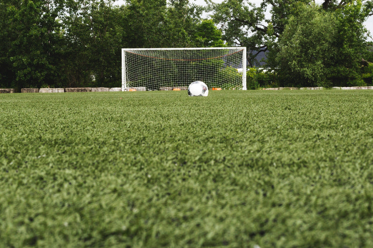 Soccer Ball In Field With Net