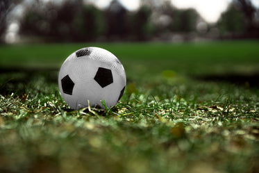 bola de futebol na grama