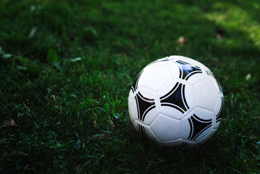 soccer ball in green grass