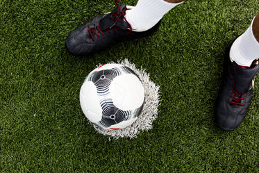 Browse Free HD Images of Soccer Player With Ball On Field