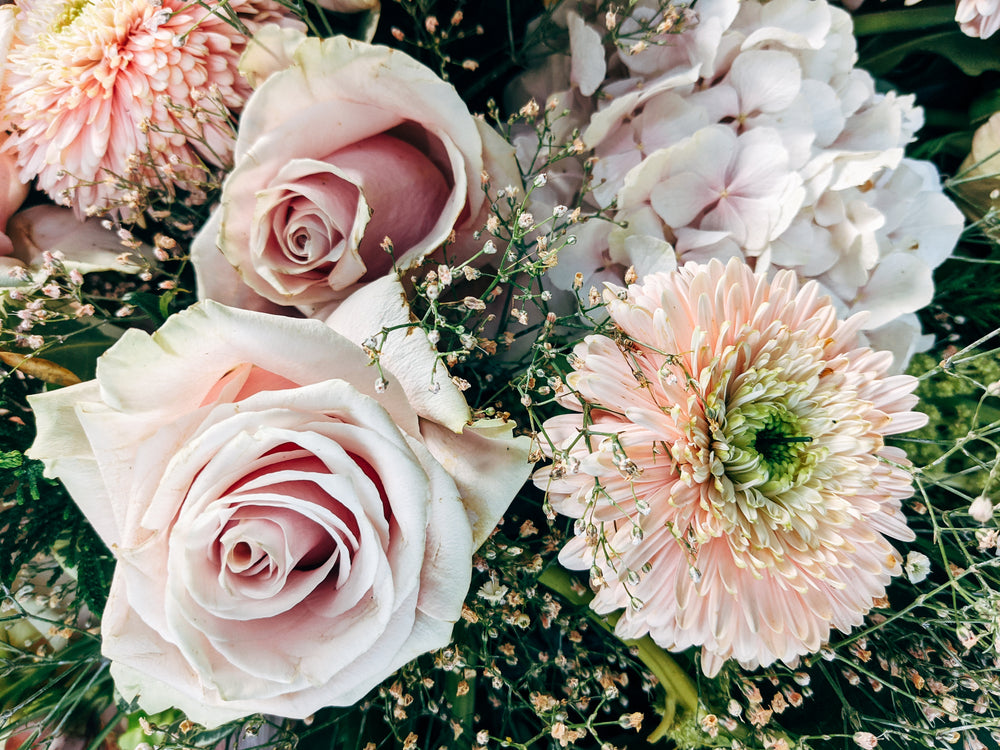 soft pink flowers fill the frame surrounded by foliage