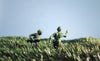 soldier toys in grass