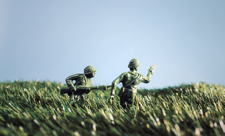 soldier-toys-in-grass.jpg?width=746&form
