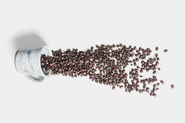 spilled roasted coffee beans
