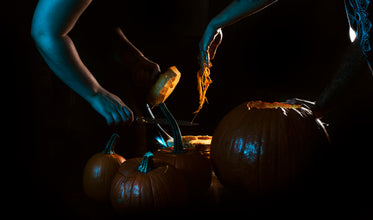 spooky pumpkins being prepared for carving halloween