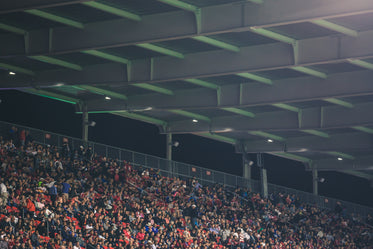 torcida em um estádio esportivo