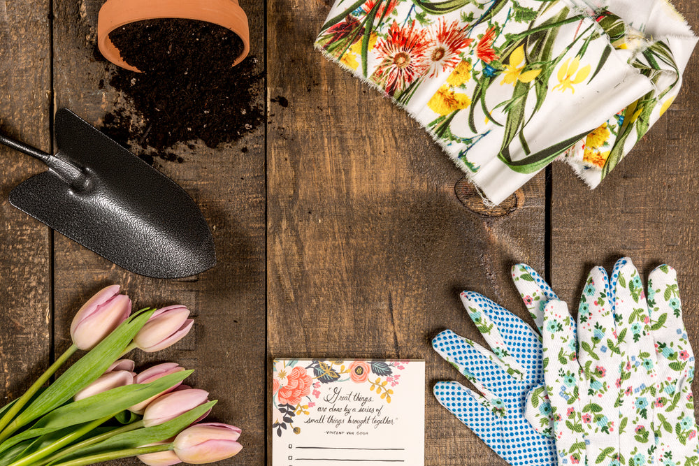 spring and garden theme flat lay