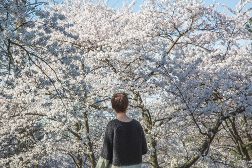 Person in outerwear watching spring blossom tree branches