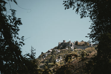 spying on a castle