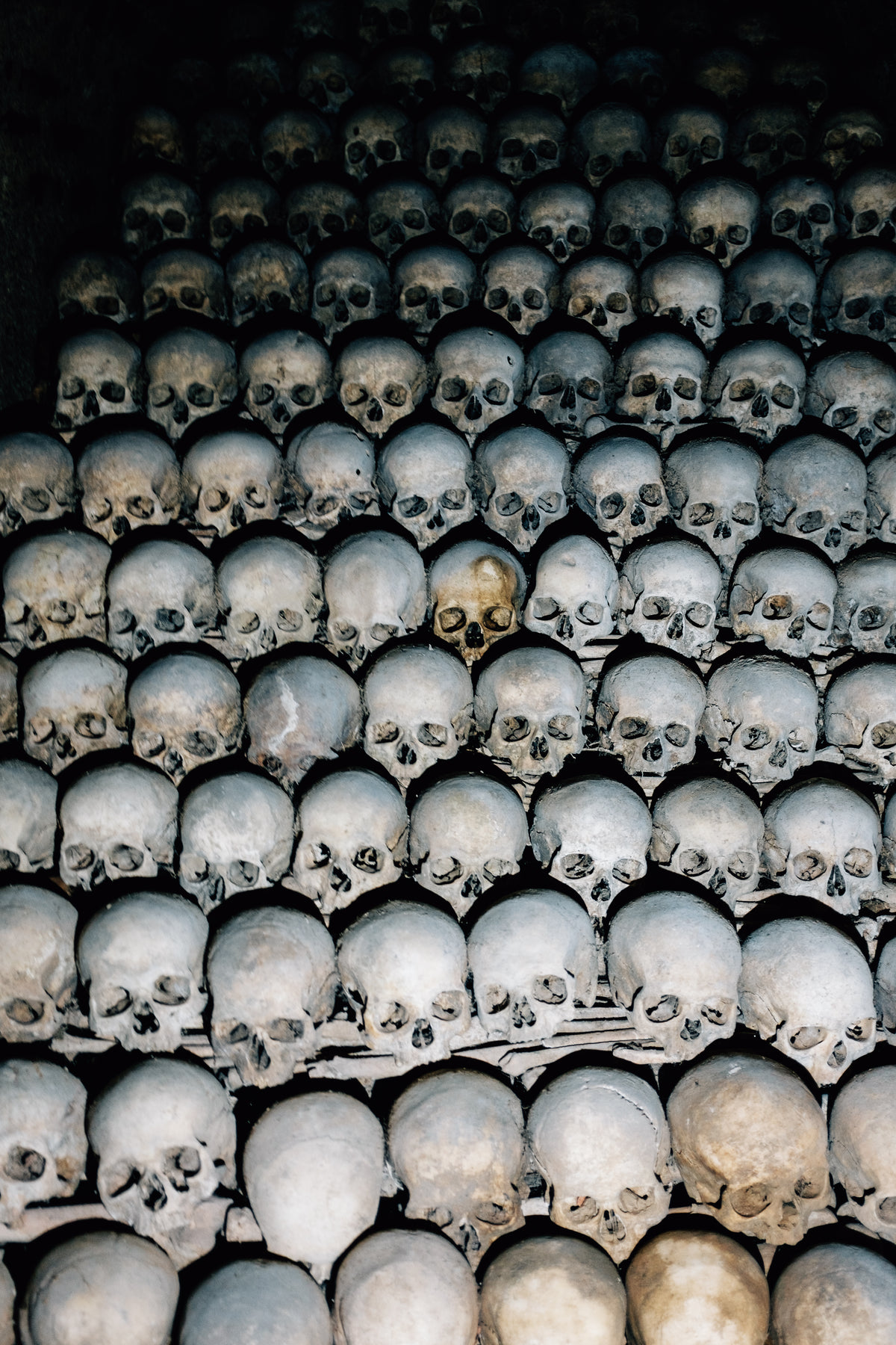 stacked skulls in darkness