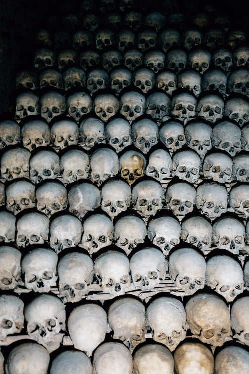 stacked skulls in darkness