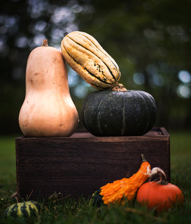 stacked squash vegetables