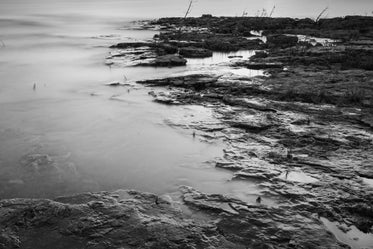 staggered rocks and sparse plants along shoreline