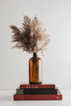 stalks of grass in brown glass bottle atop antique books