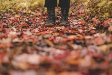 standing in fall leaves