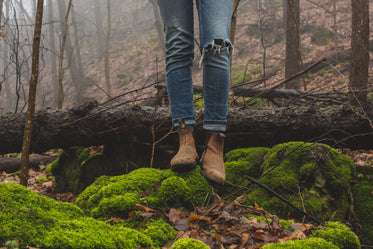 Free Standing In Woods Image: Stunning Photography