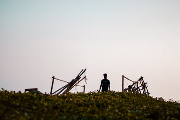 standing with parts of a wooden structure around them