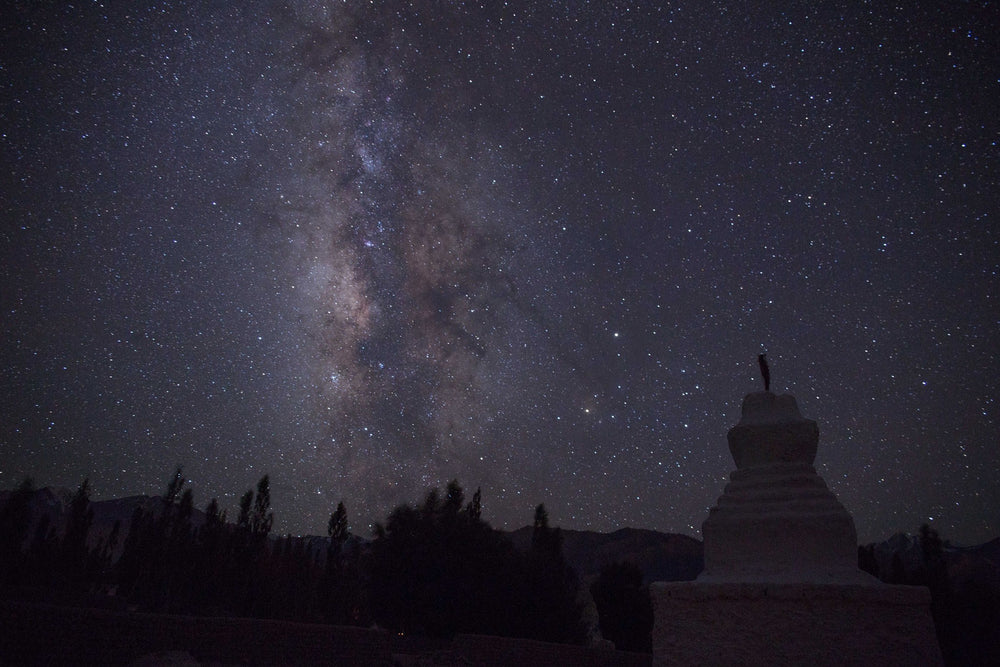 star filled night sky and silhouetted trees