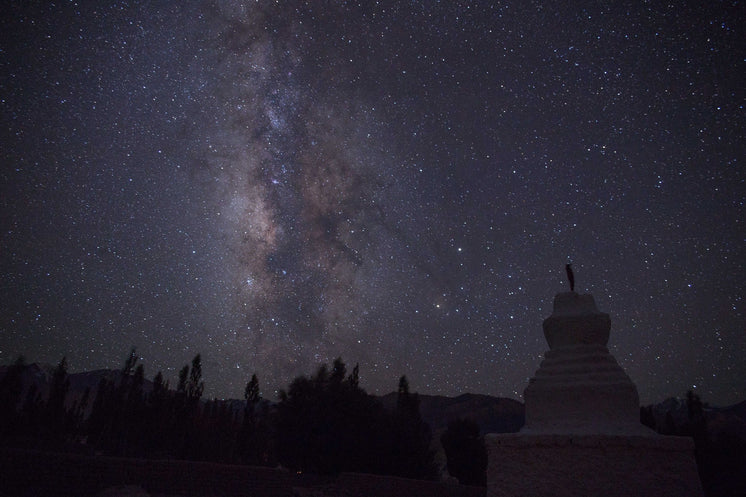 Star Filled Night Sky And Silhouetted Trees