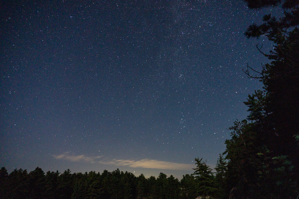 starry night sky over forest