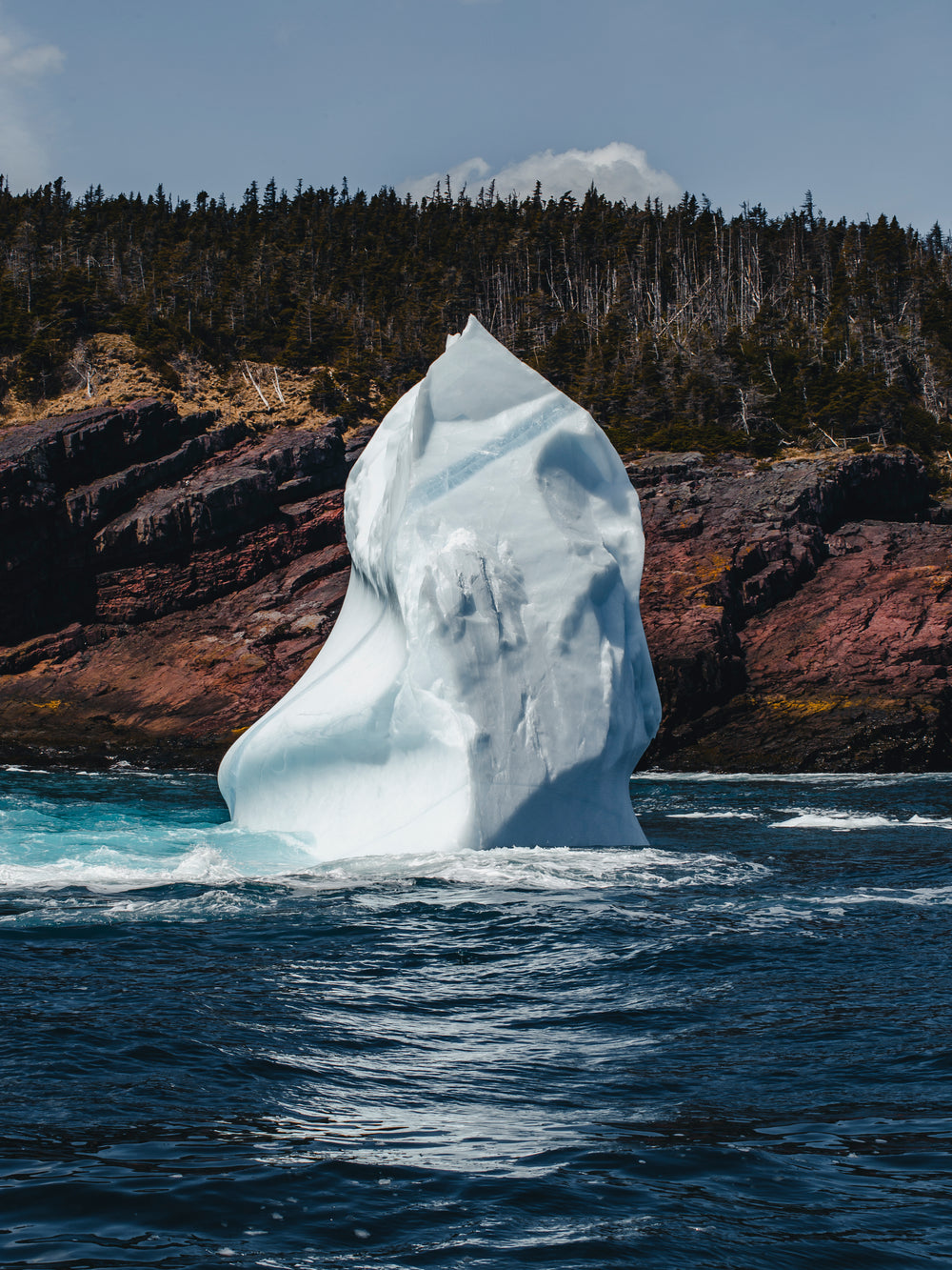 statueque glacier on the water