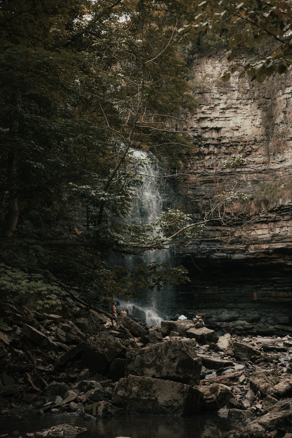 steep rock face behind weathered trees