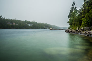 still river through evergreens