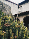 stone and brick building with cactus plants