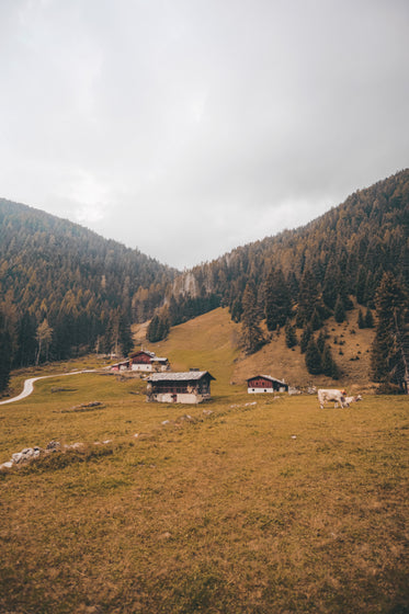 stone buildings on a lush mountain in the fall