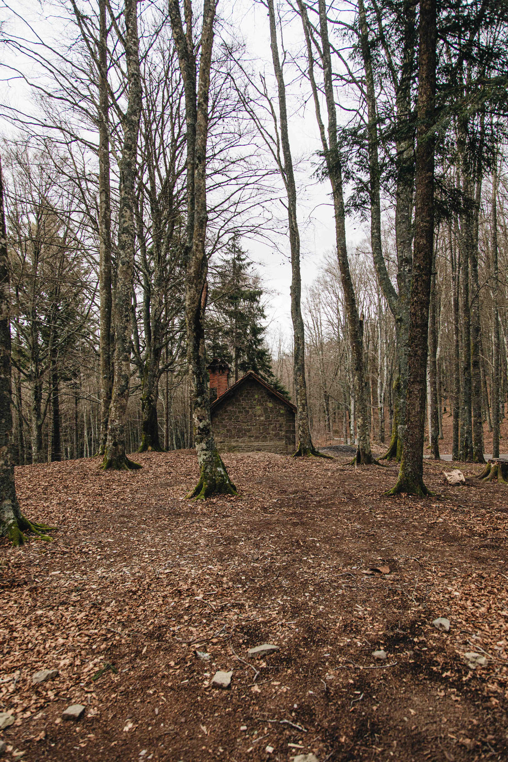 stone home surrounded by trees