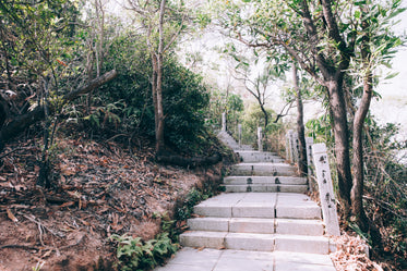 stone steps in park