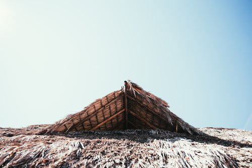 straw hut roof