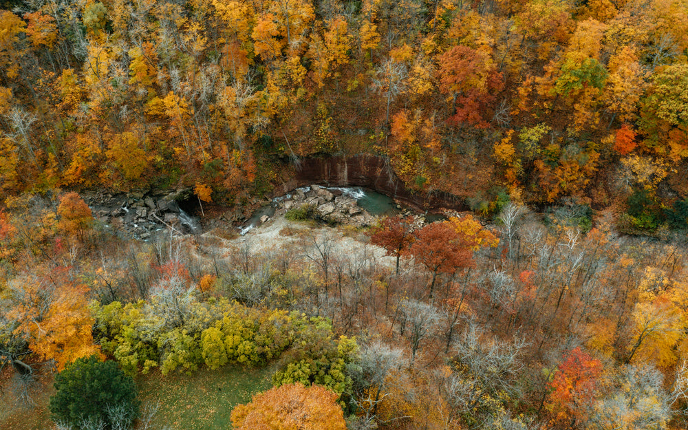 stream and waterfalls trailing through autumn forest