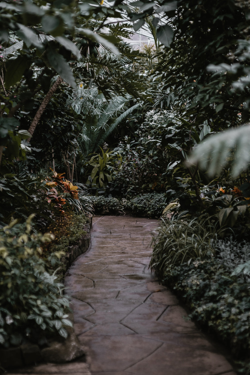 stroll through a arboretum