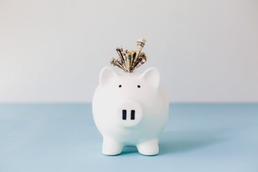 Free Stuffed Piggy Bank Savings Photo — High Res Pictures