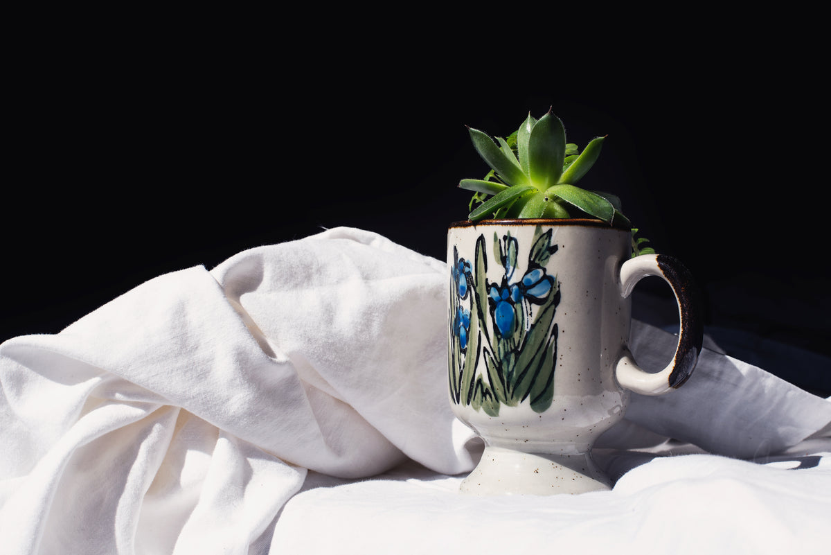 succulent in handmade mug