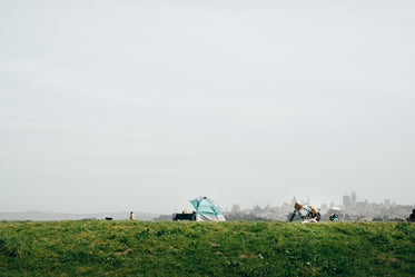 summer picnic