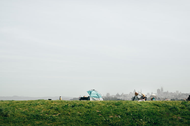 Summer Picnic