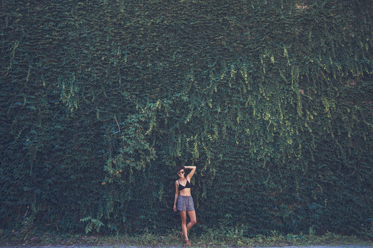 Summer Portrait Of Woman