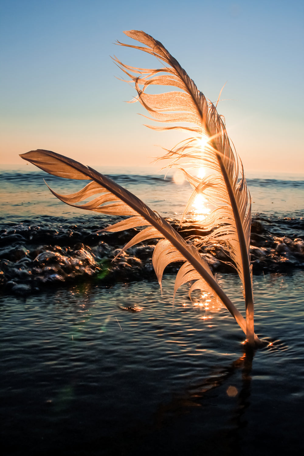 sun sets behind two feathers in the sand